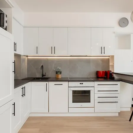 公寓 Warsaw Stylish By Renters 皮瑟兹诺